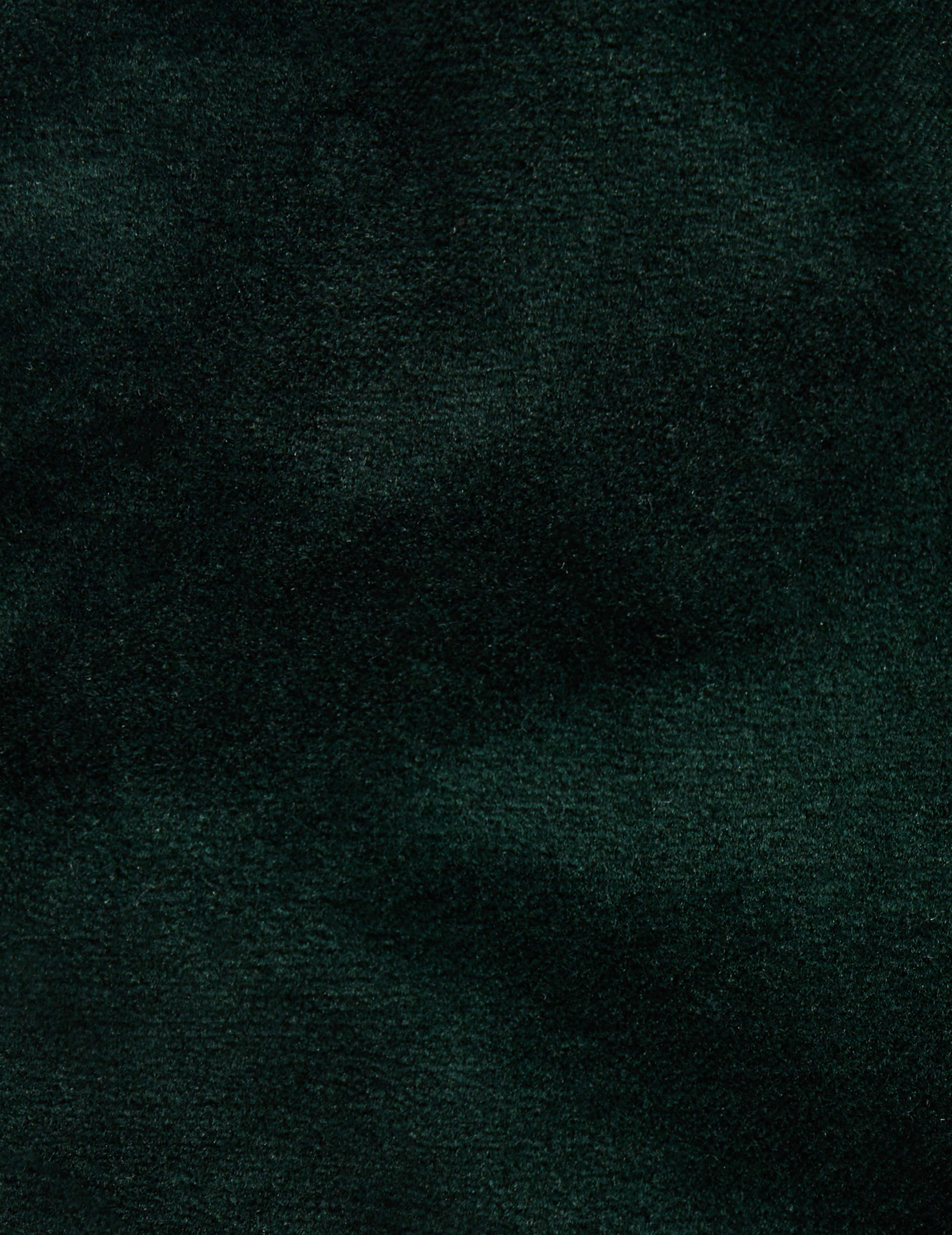 Dark green velvet Giorgia tuxedo pants