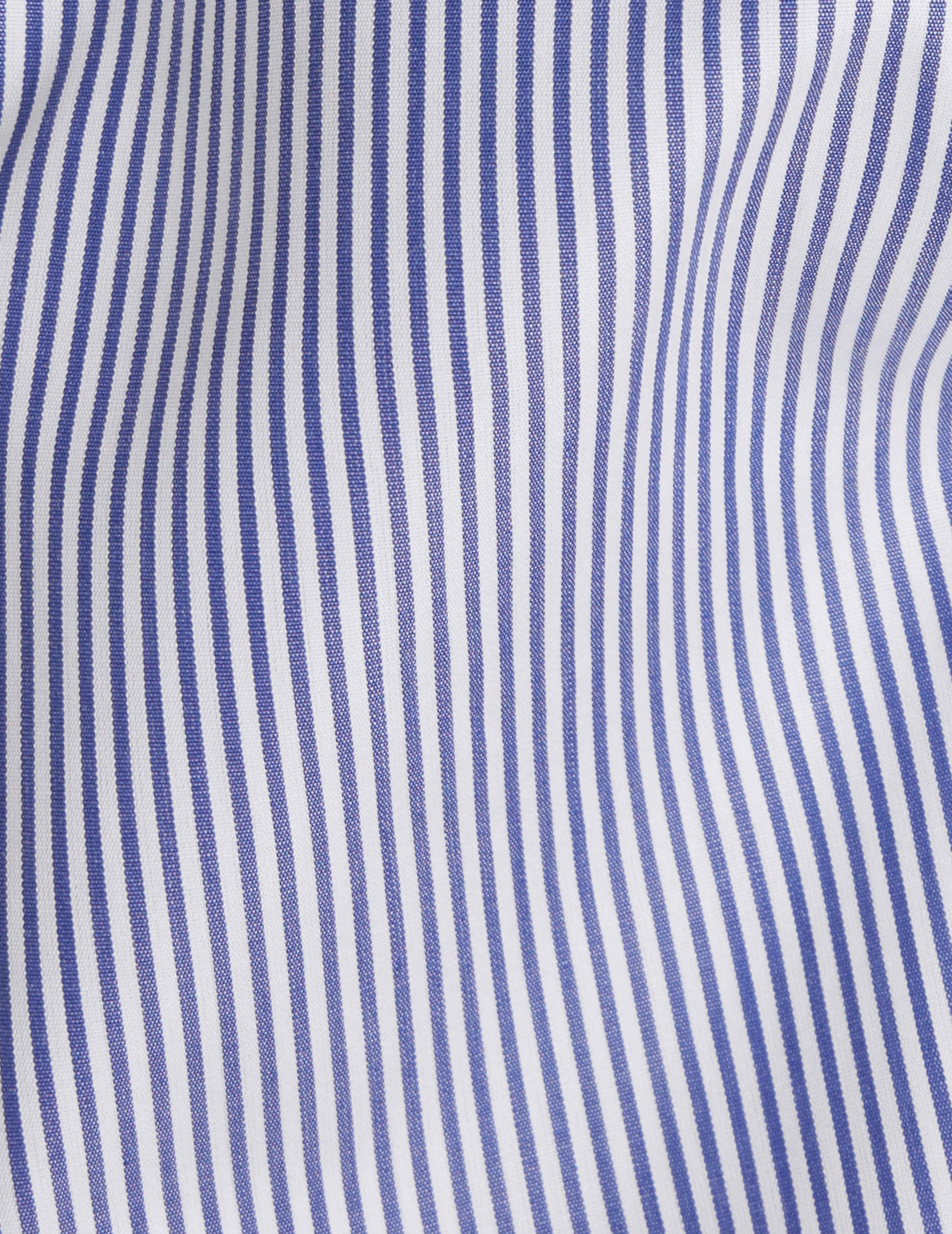 Striped blue Louison hidden buttons placket shirt - Poplin - Victorian Collar