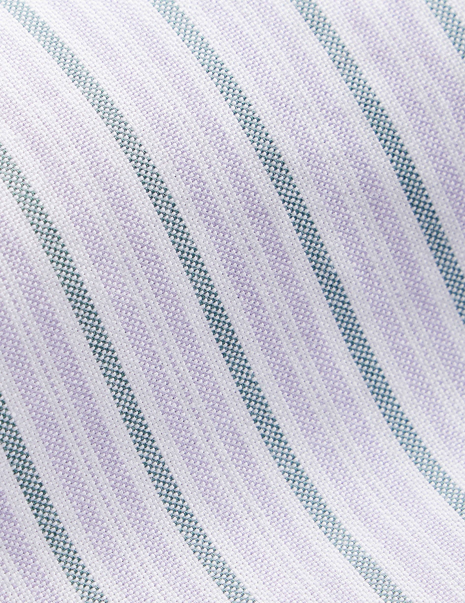 Green and purple striped Gaspard shirt - Oxford - American Collar