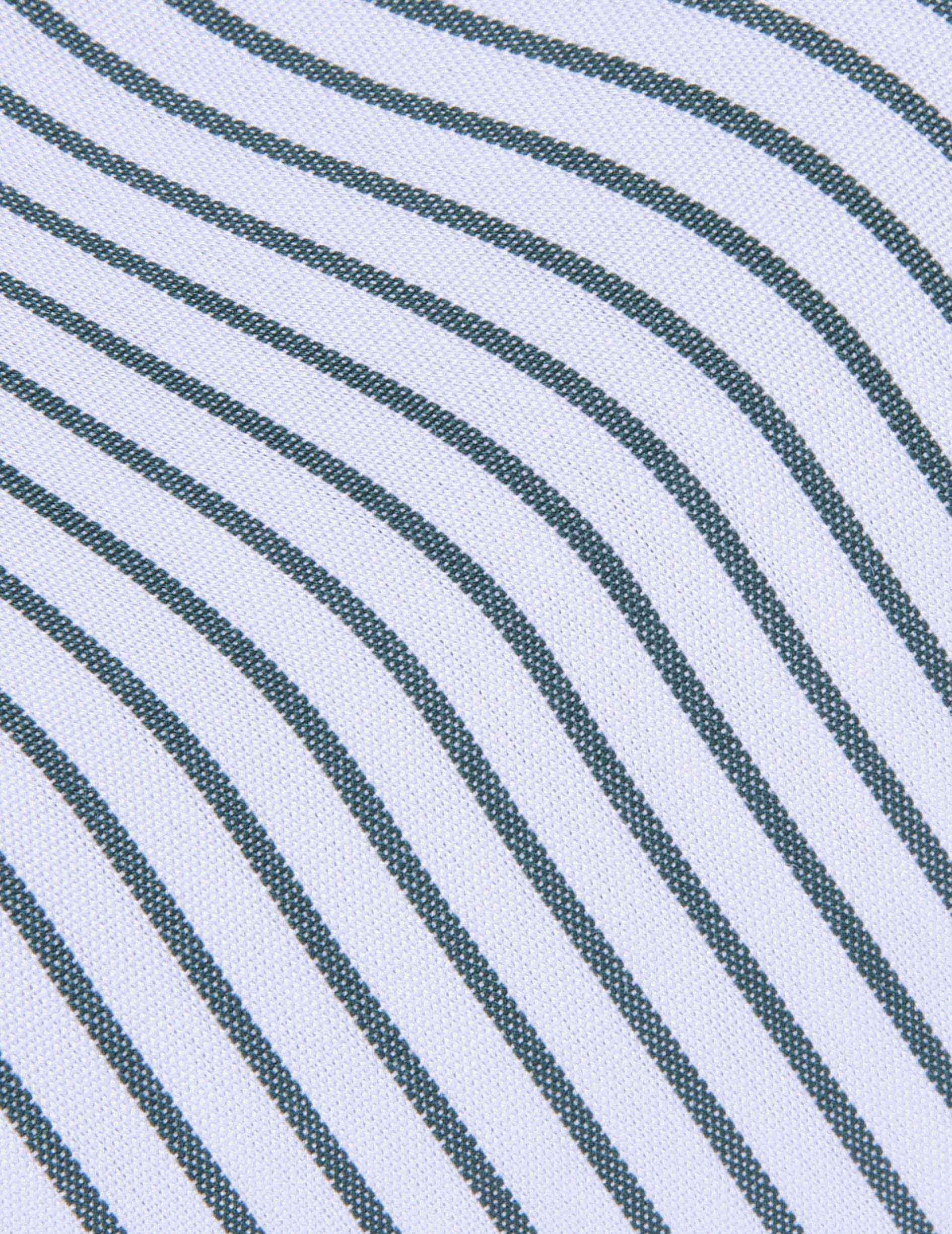 Green striped fitted shirt - Poplin - Figaret Collar