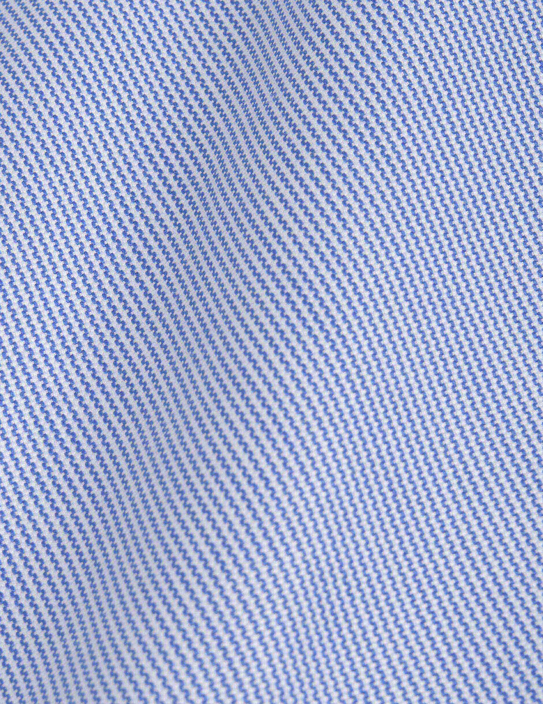 Blue striped Gaspard shirt - Oxford - American Collar