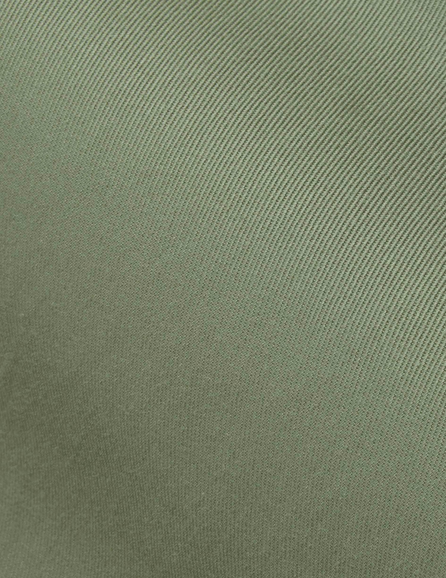 Laurine hidden button placket shirt - Twill - Victorian Collar#6