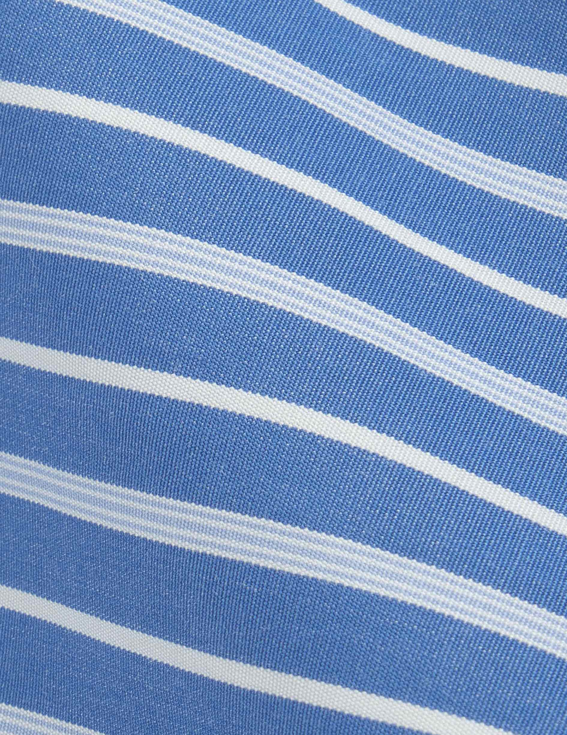 Meryl blue striped shirt - Poplin - Shirt Collar