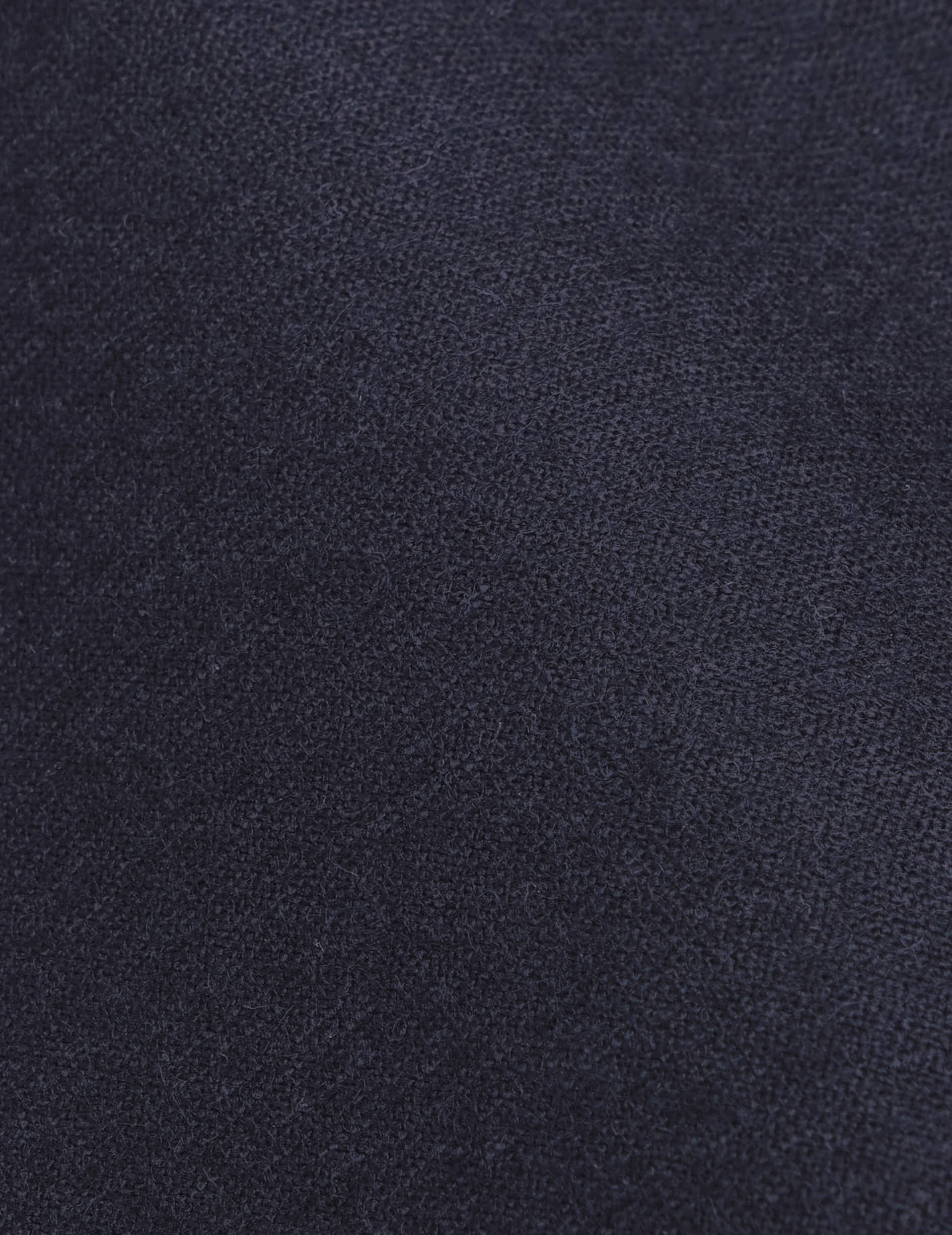Lyzie navy wool canvas pants