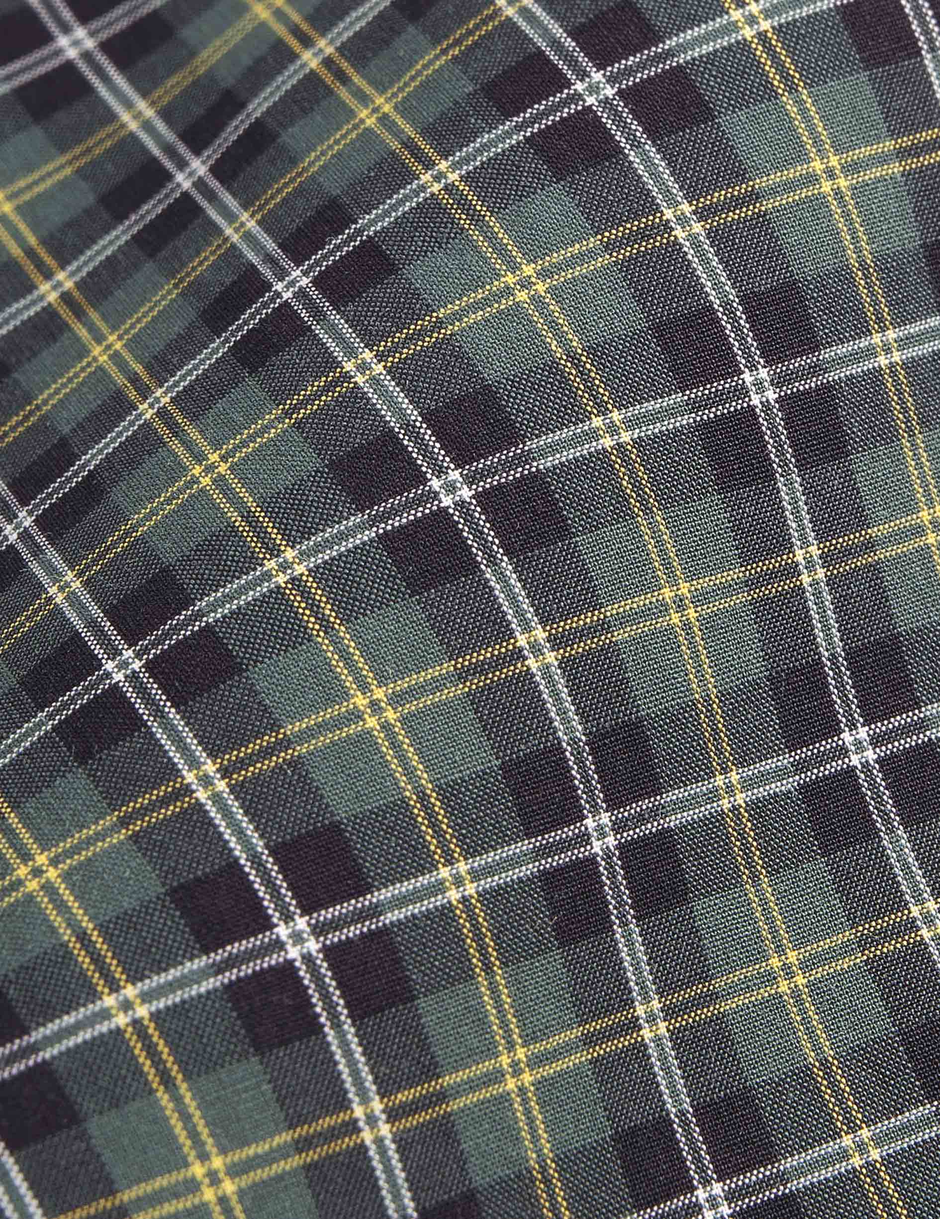 Arnold green checked shirt - Poplin - Prodigious Collar