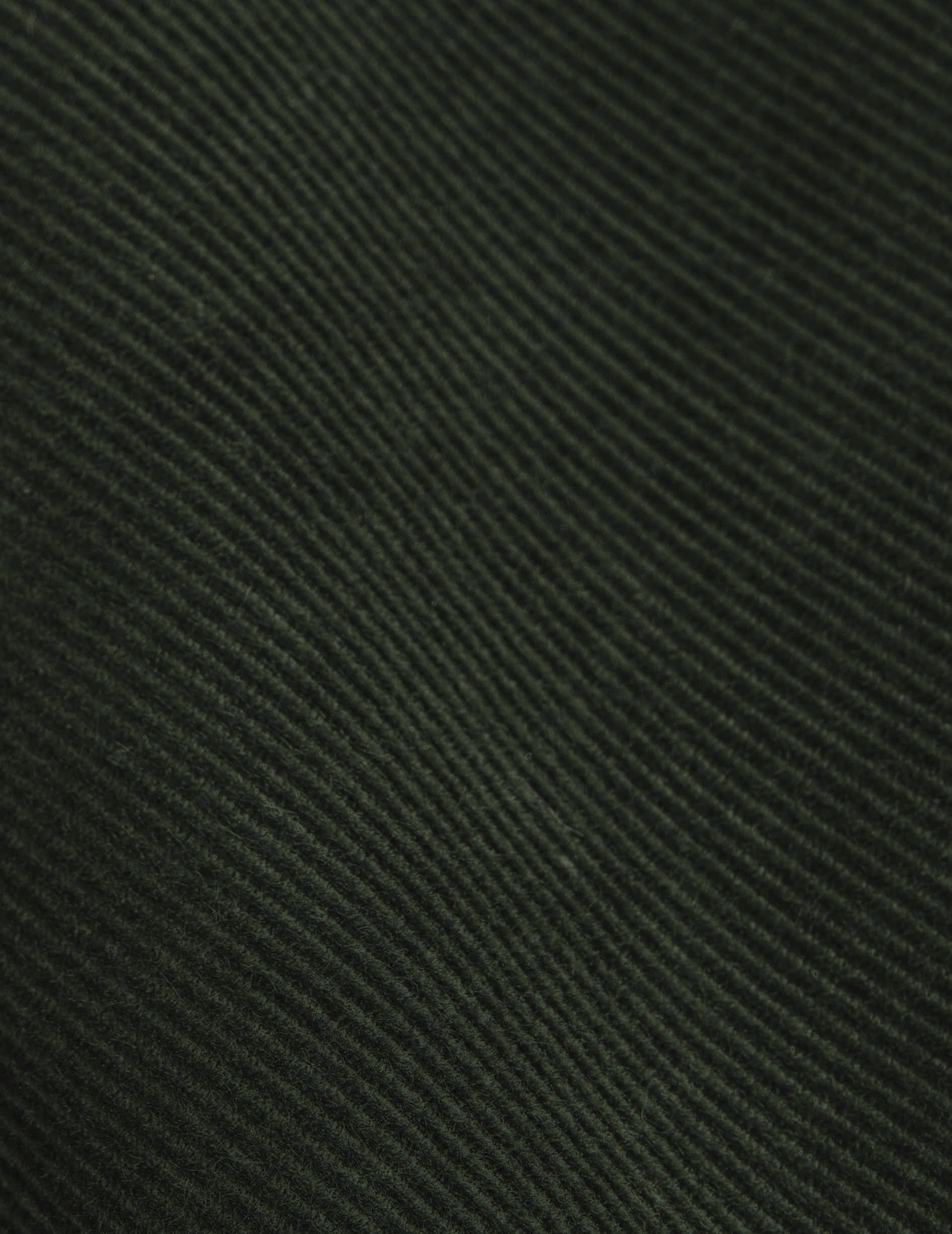 Gabriel green velvet shirt - Velvet - American Collar