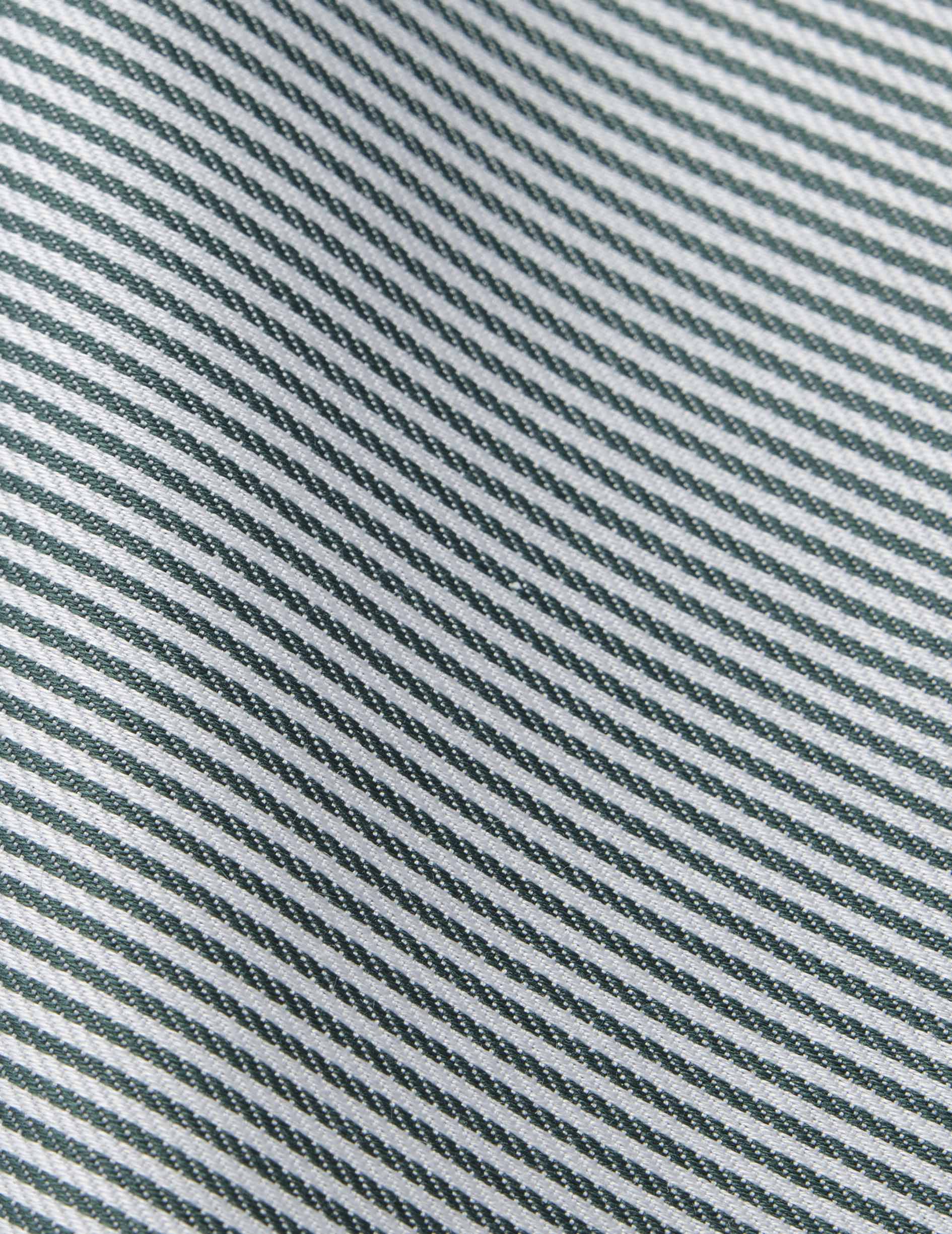 Carl green striped easy-iron shirt - Twill - Open straight Collar - Easy-iron