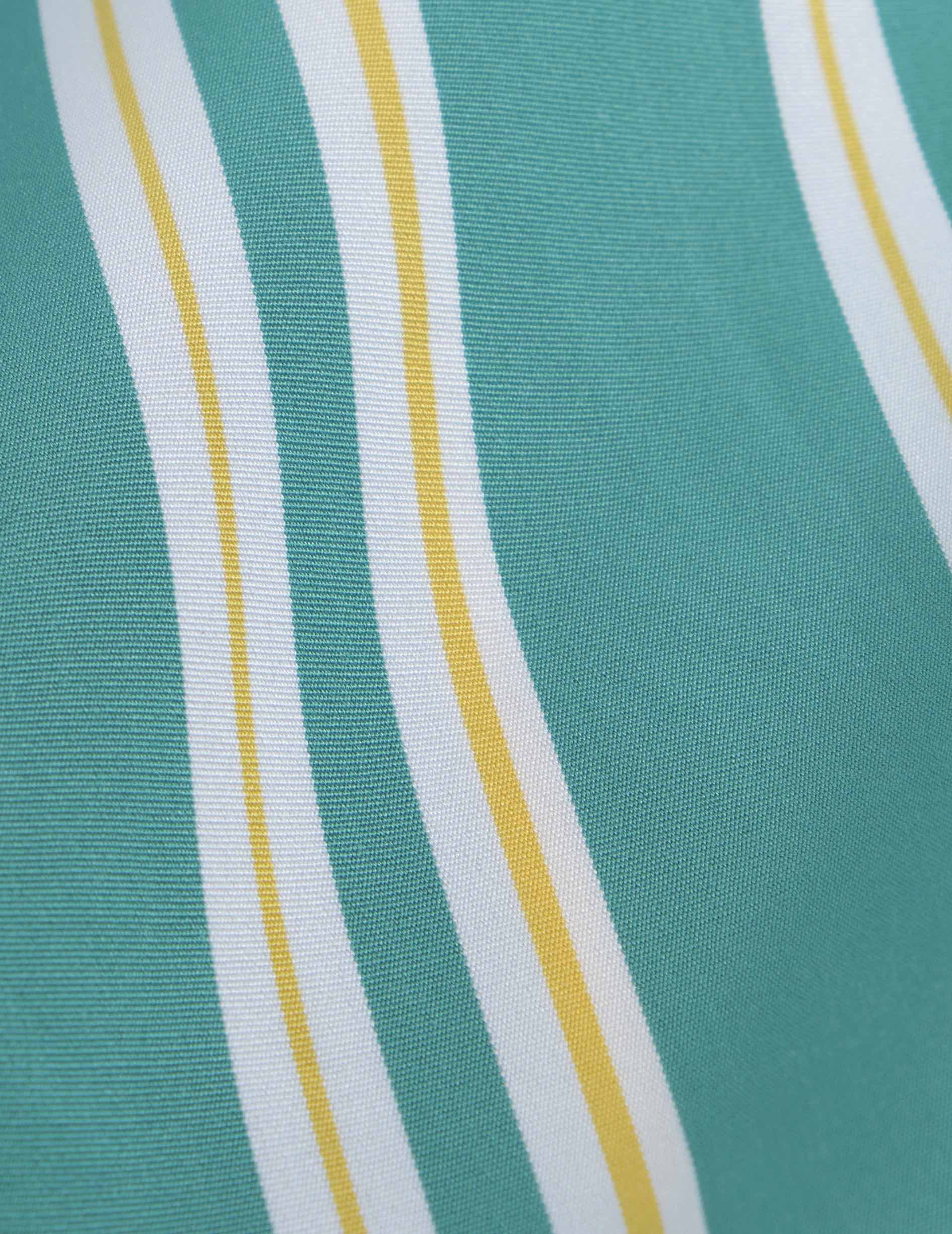 Laeticia striped green poplin pants