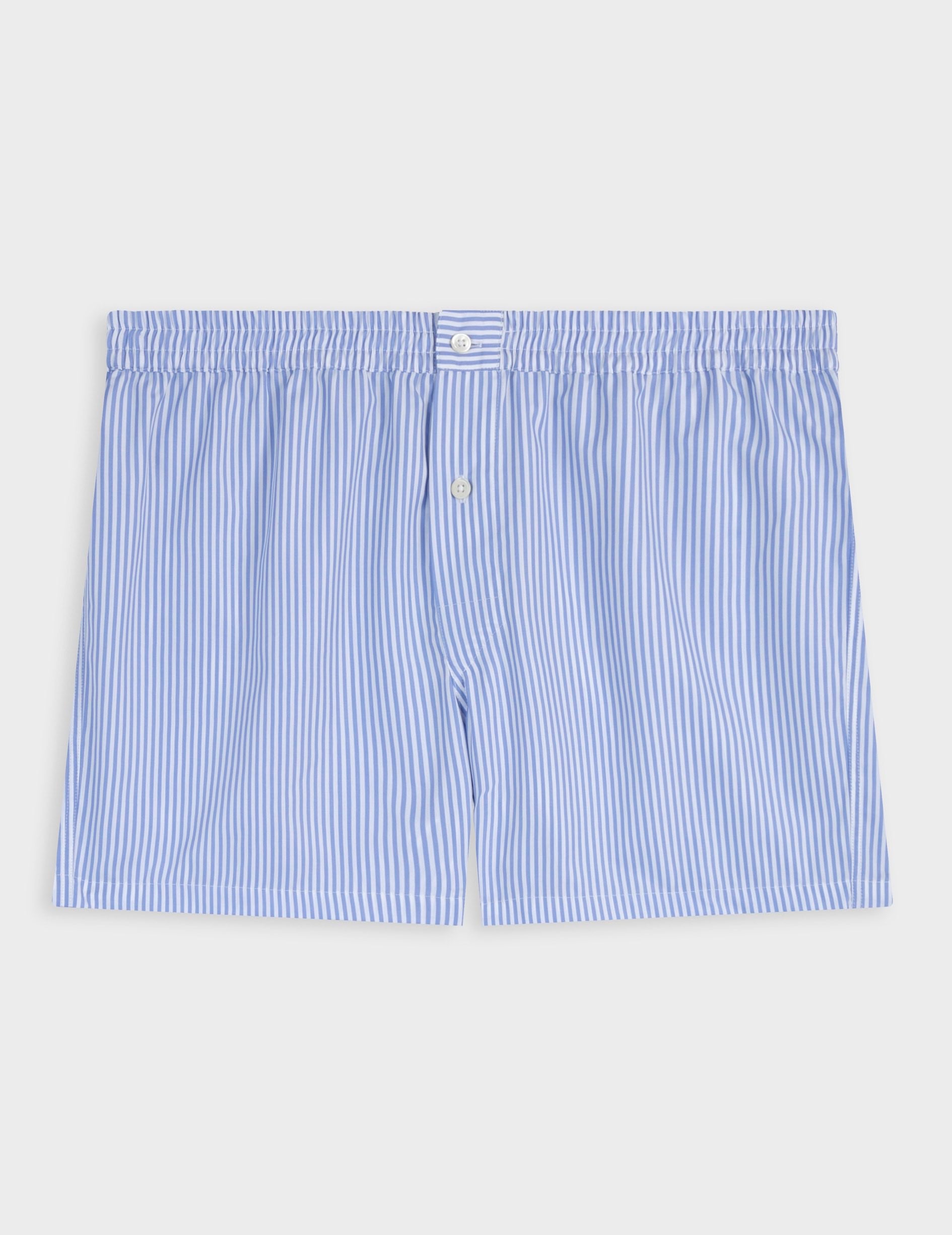 Blue striped poplin underpants