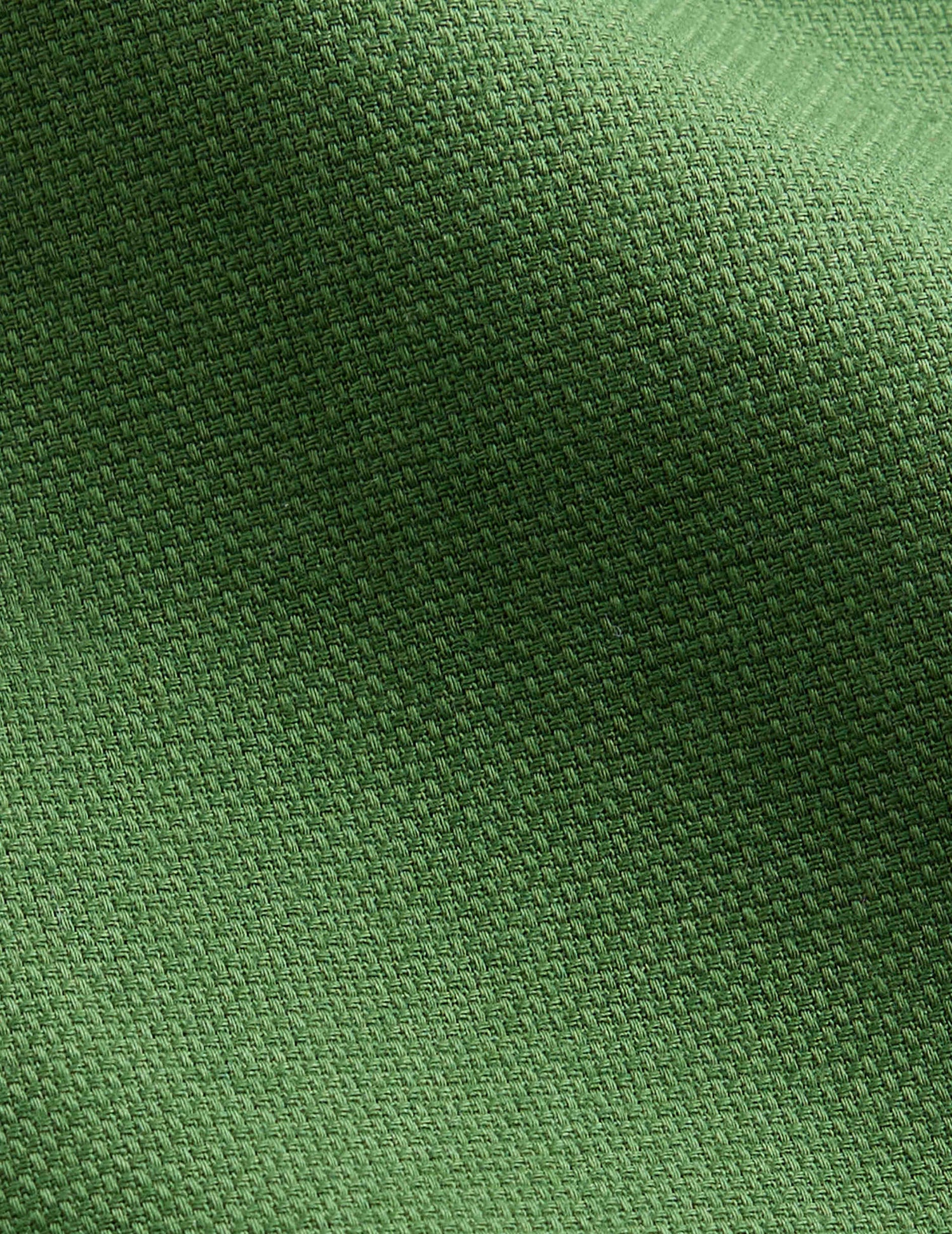 Pedro green shirt - Piqué cotton - Shirt Collar#12