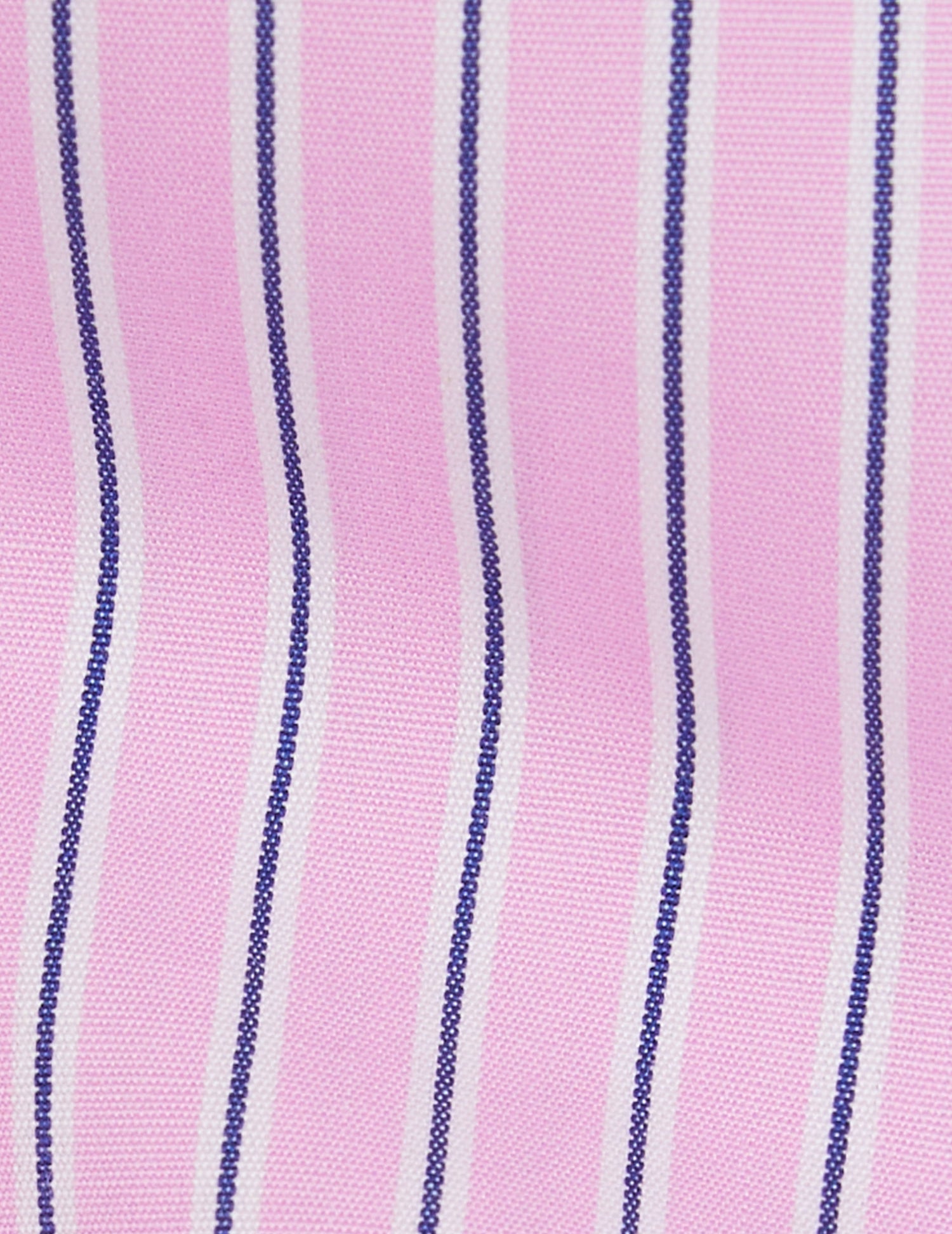 Pink striped Amber shirt - Poplin - Shirt Collar#5