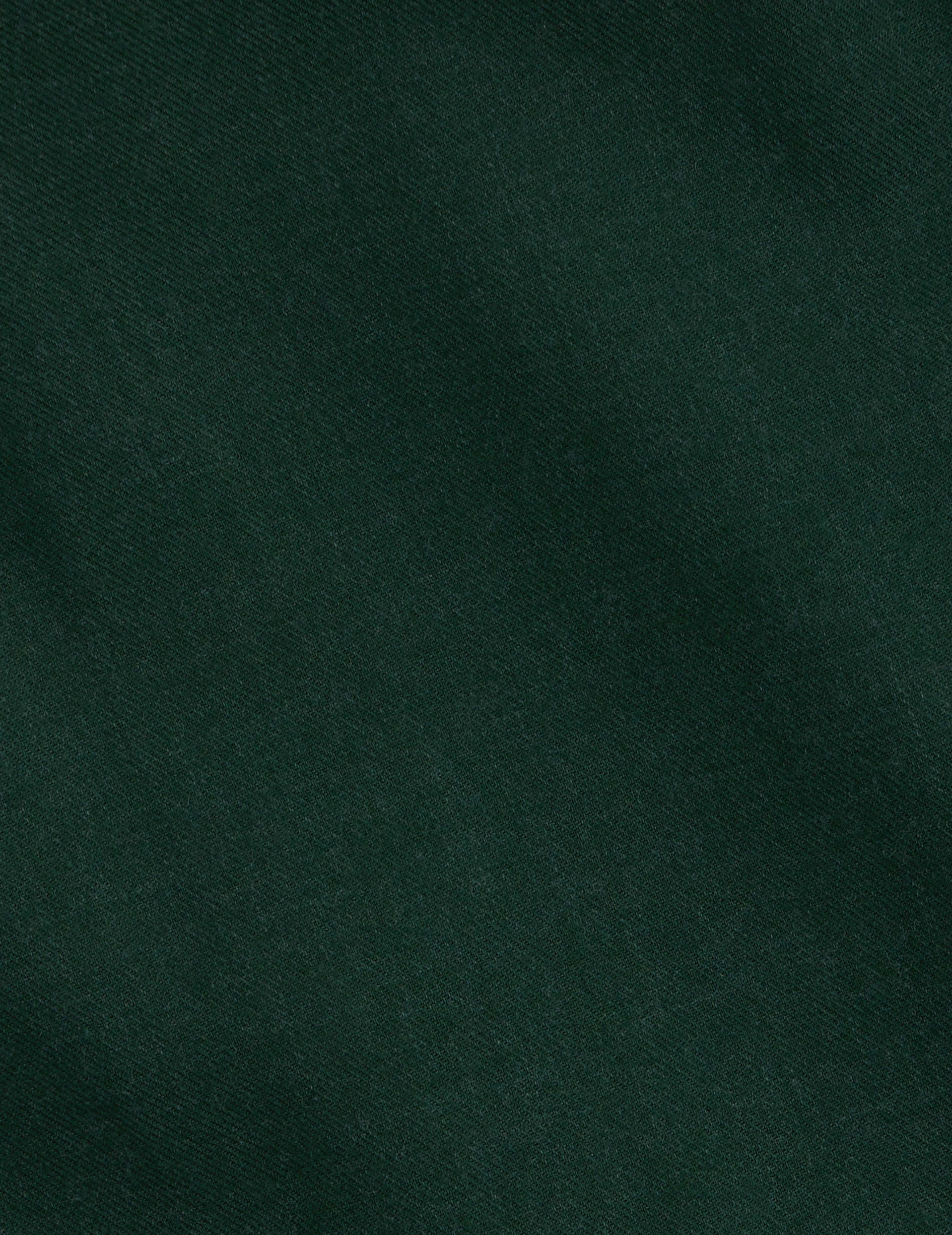 Green Aristote shirt - Flannel - Italian Collar