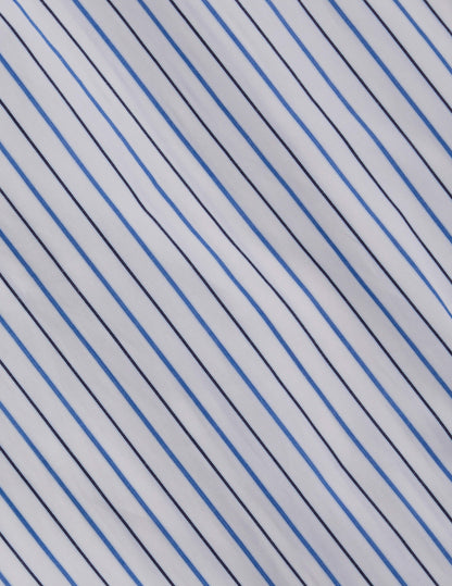 semi-fitted Blue striped shirt