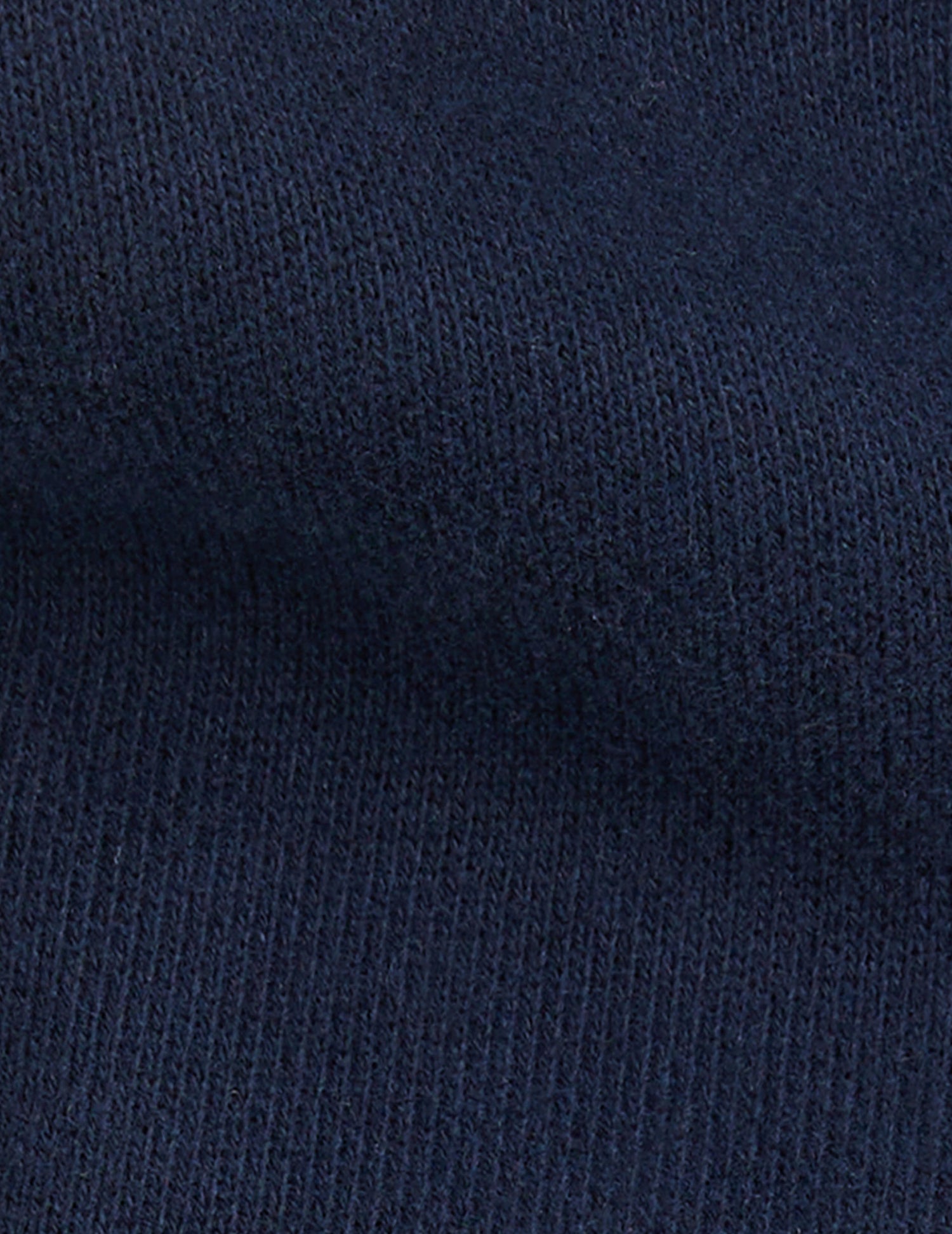 Ivanhoe sweatshirt in navy blue fleece