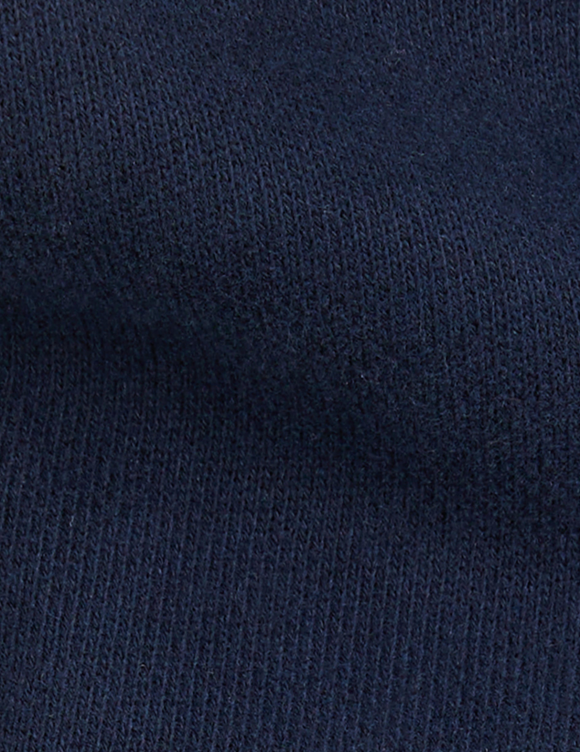 Ivanhoe sweatshirt in navy blue fleece