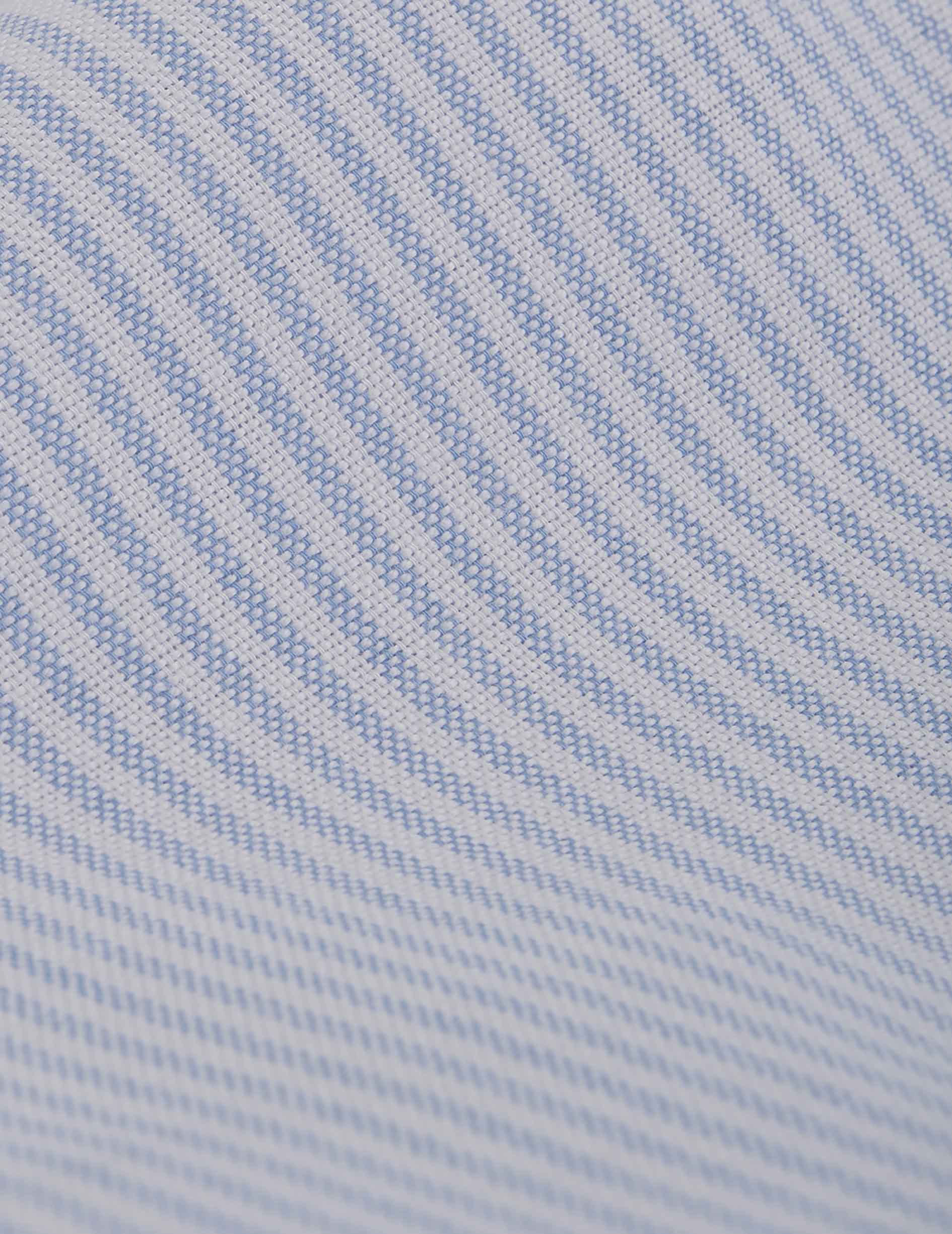 Blue striped Marion shirt - Oxford - Shirt Collar