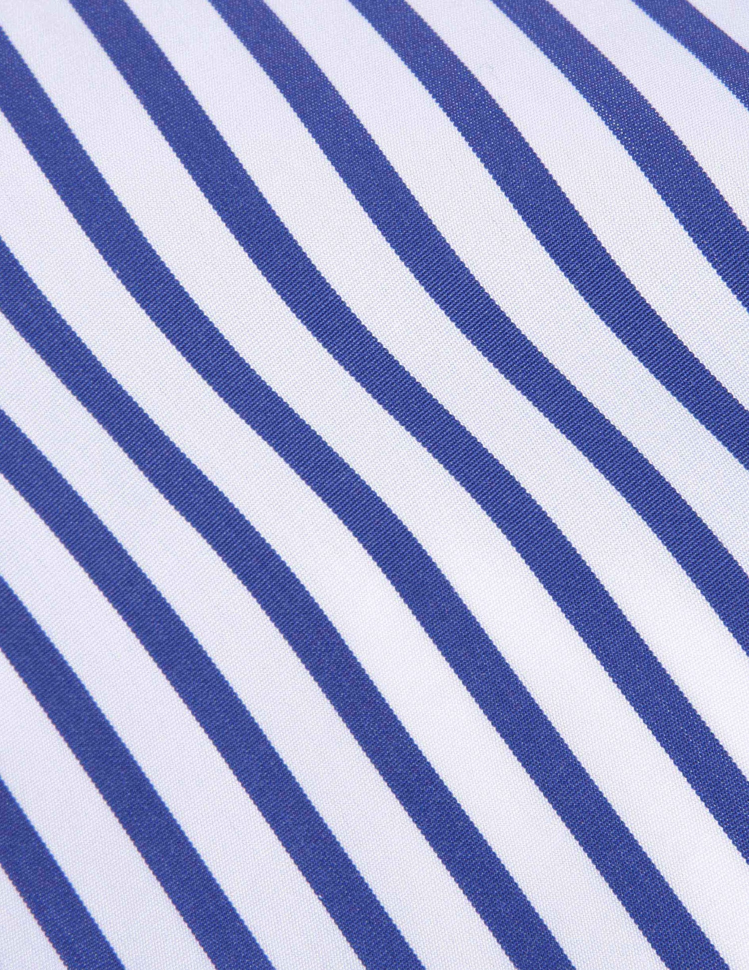 Blue striped semi-fitted shirt - Popeline - English Collar#3