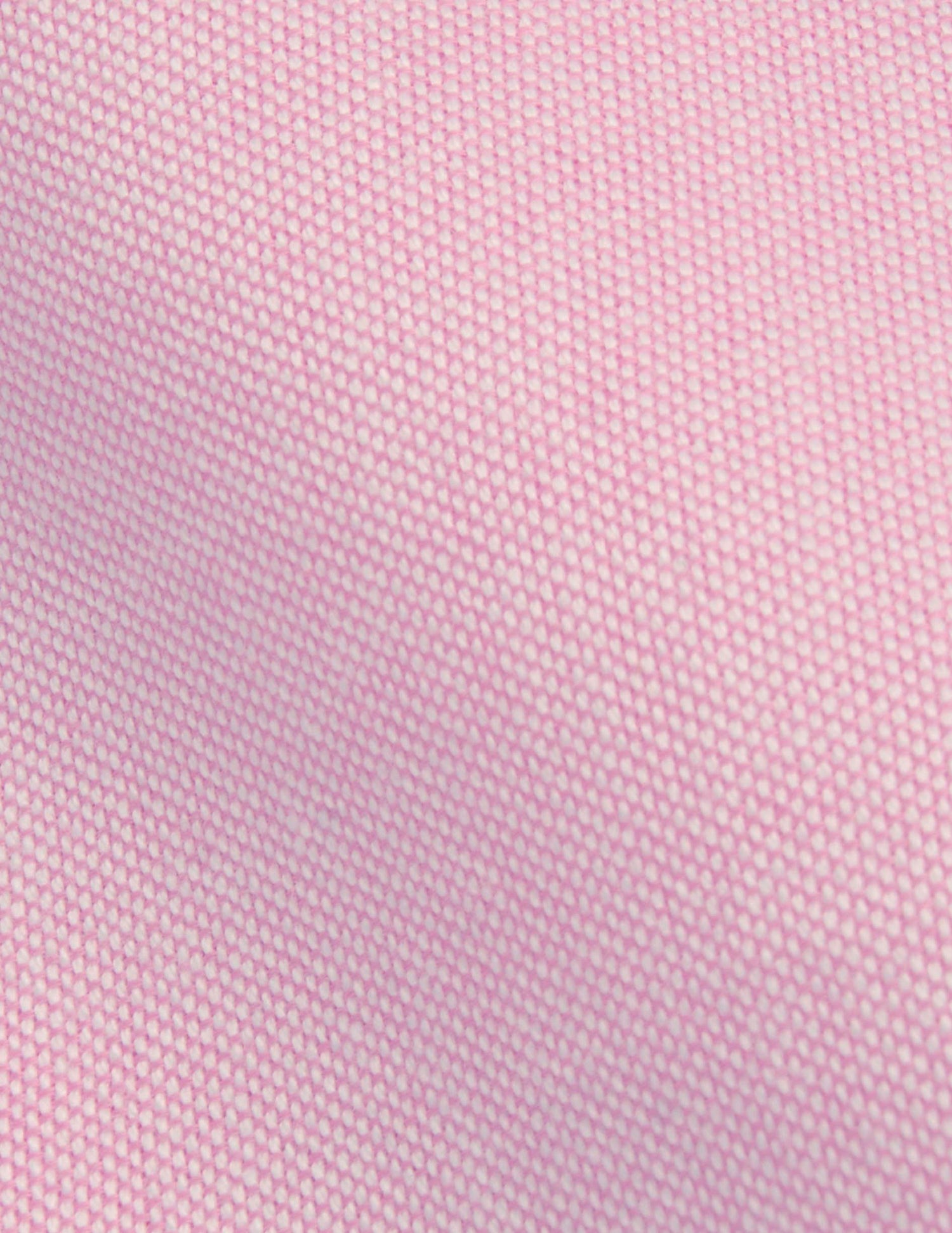 Charlotte pink shirt - Oxford - Shirt Collar#4