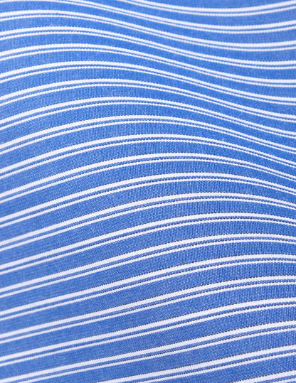 Margaux blue striped shirt