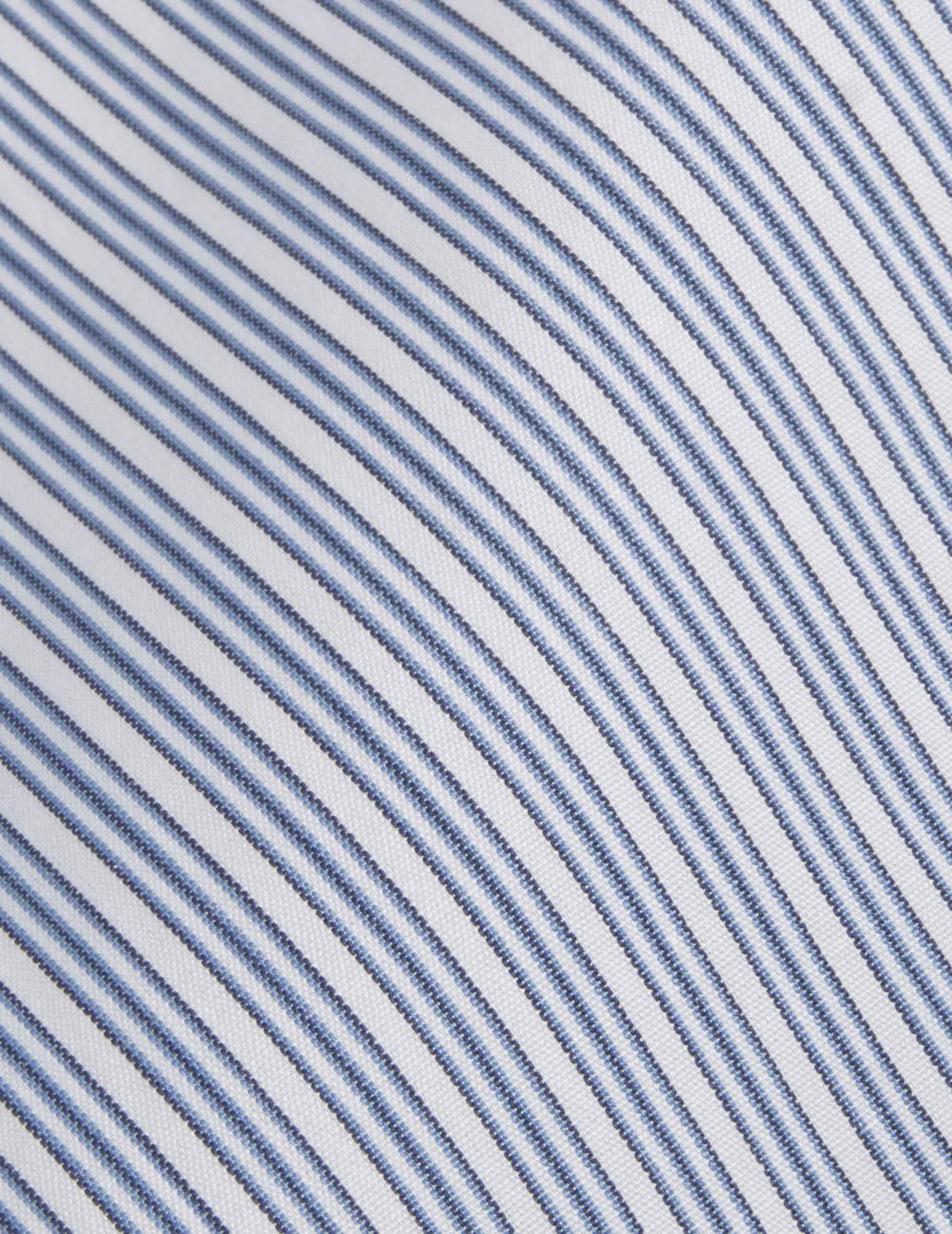 Meryl blue striped shirt - Poplin - Shirt Collar