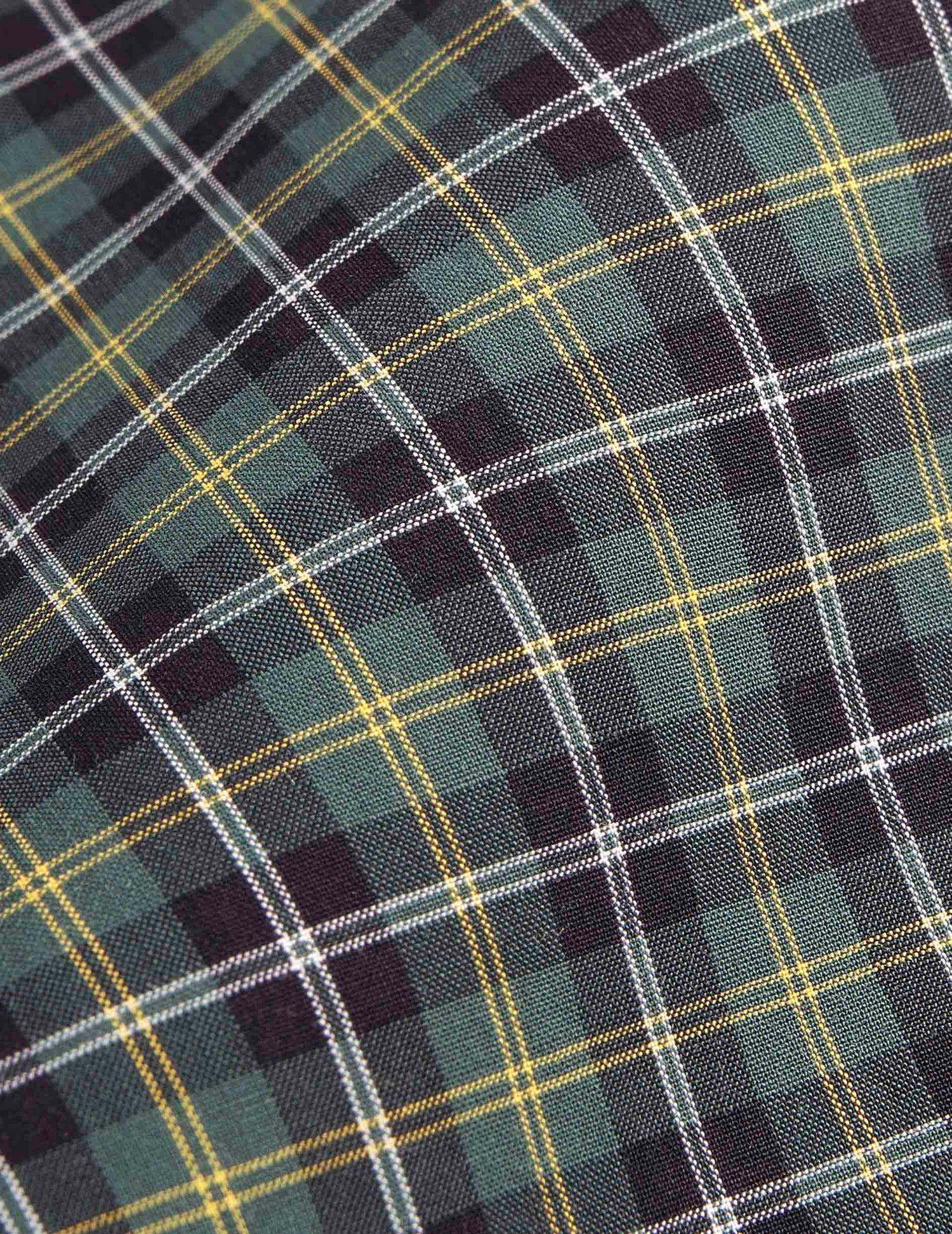 Arnold green checked shirt - Poplin - Prodigious Collar#6