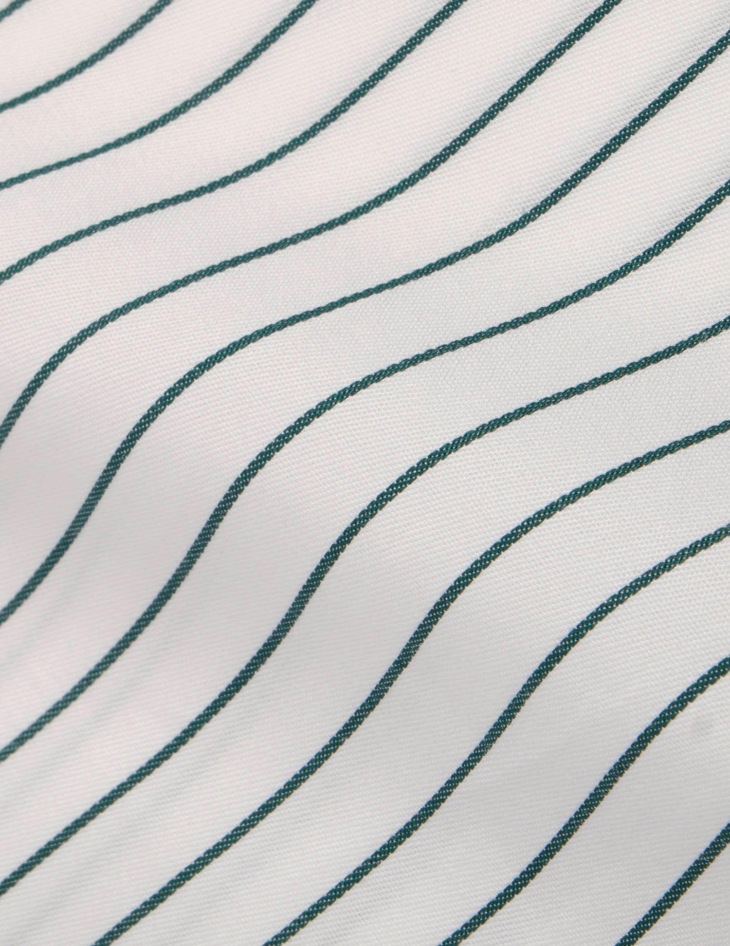 Carl green striped shirt - Twill - Carl Collar#5