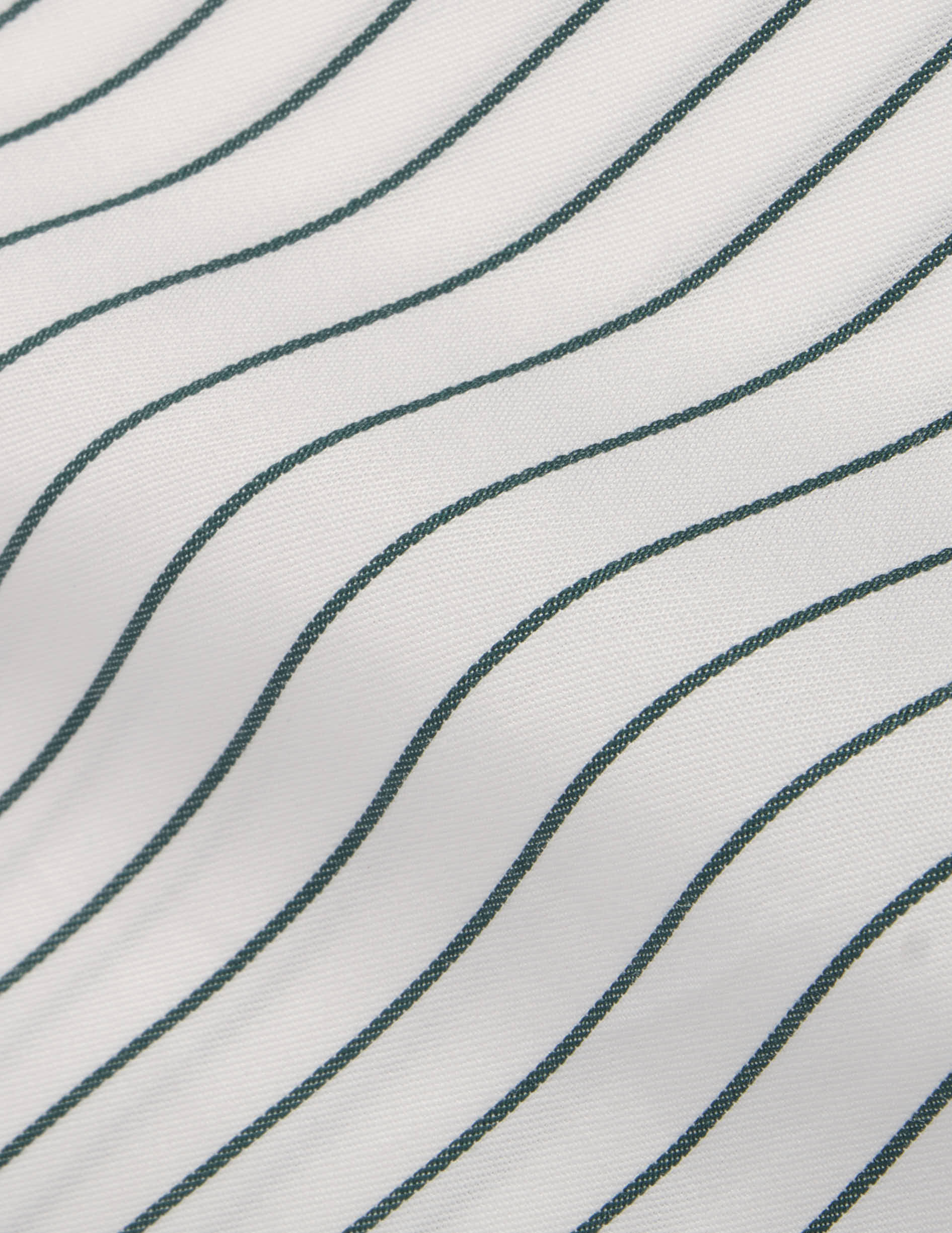 Carl green striped shirt - Twill - Carl Collar
