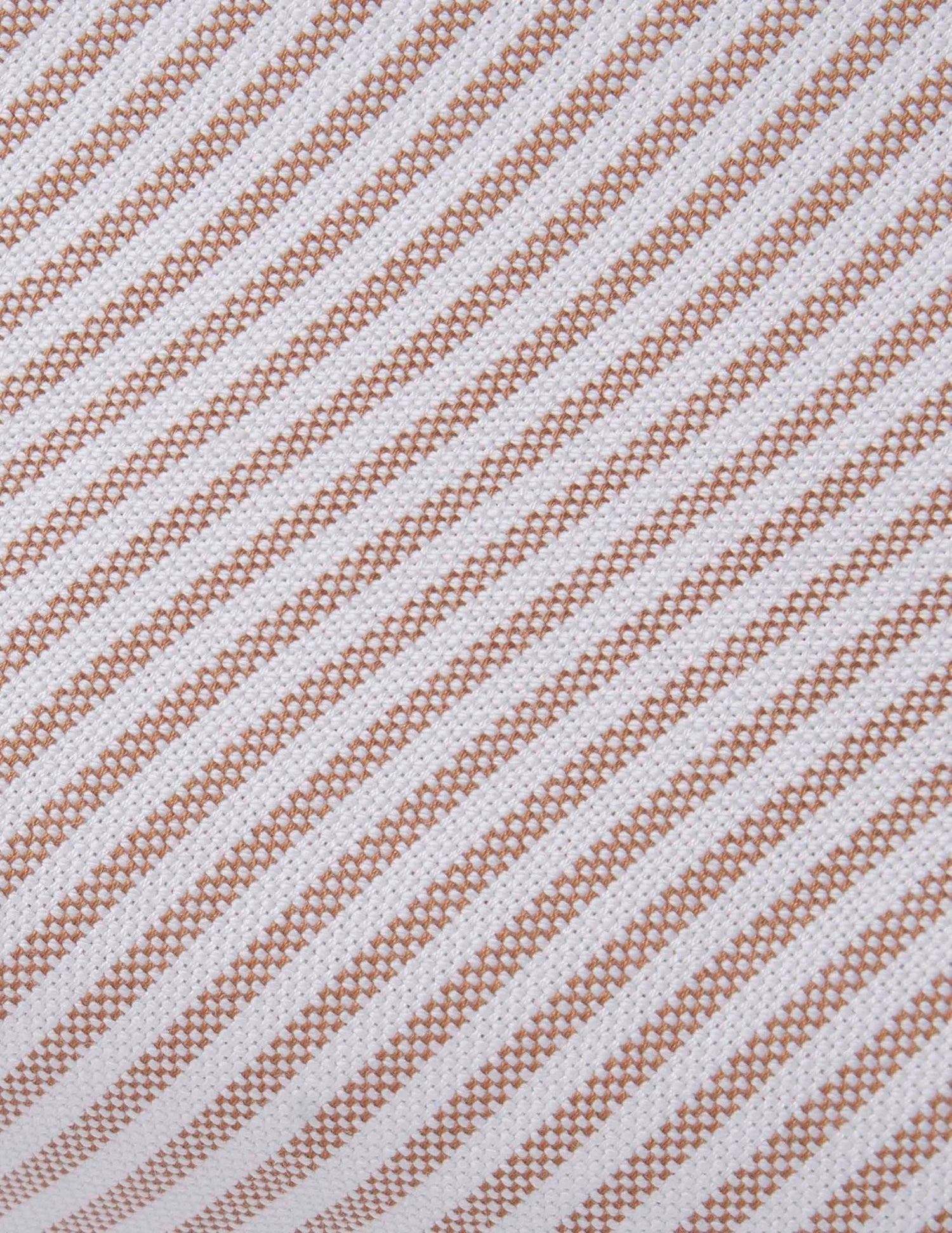 Carl brown striped shirt - Oxford - Carl Collar#2