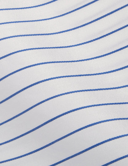Classic blue striped shirt