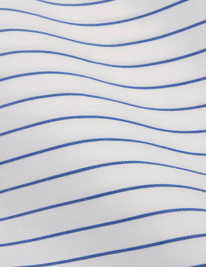 Classic blue striped shirt