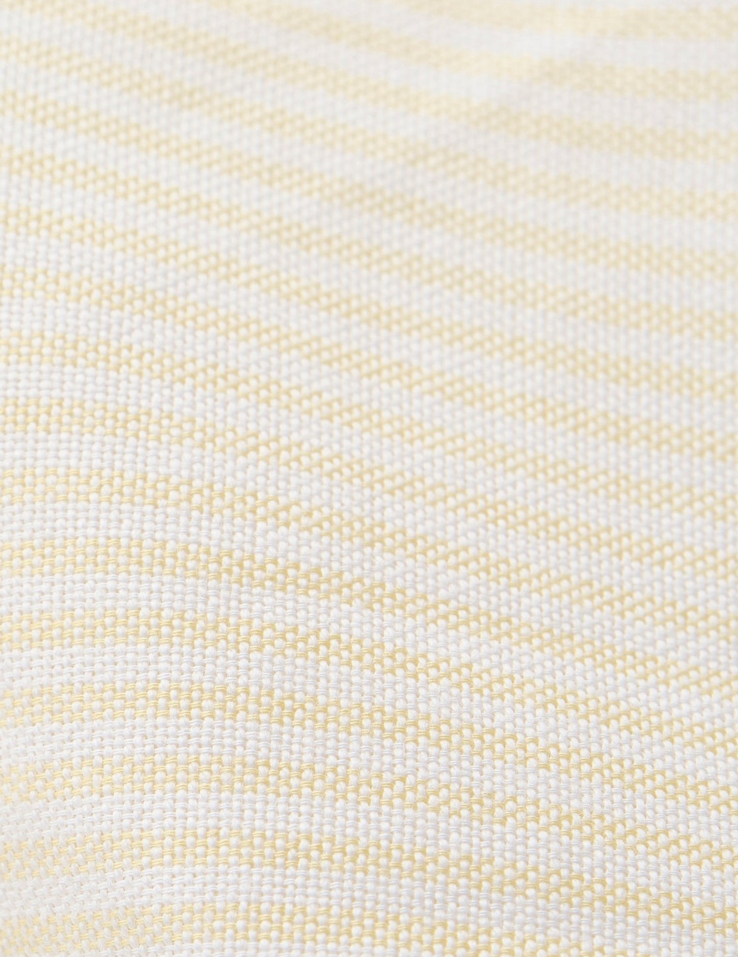 Carl Striped yellowshirt - Oxford - Open straight Collar#6