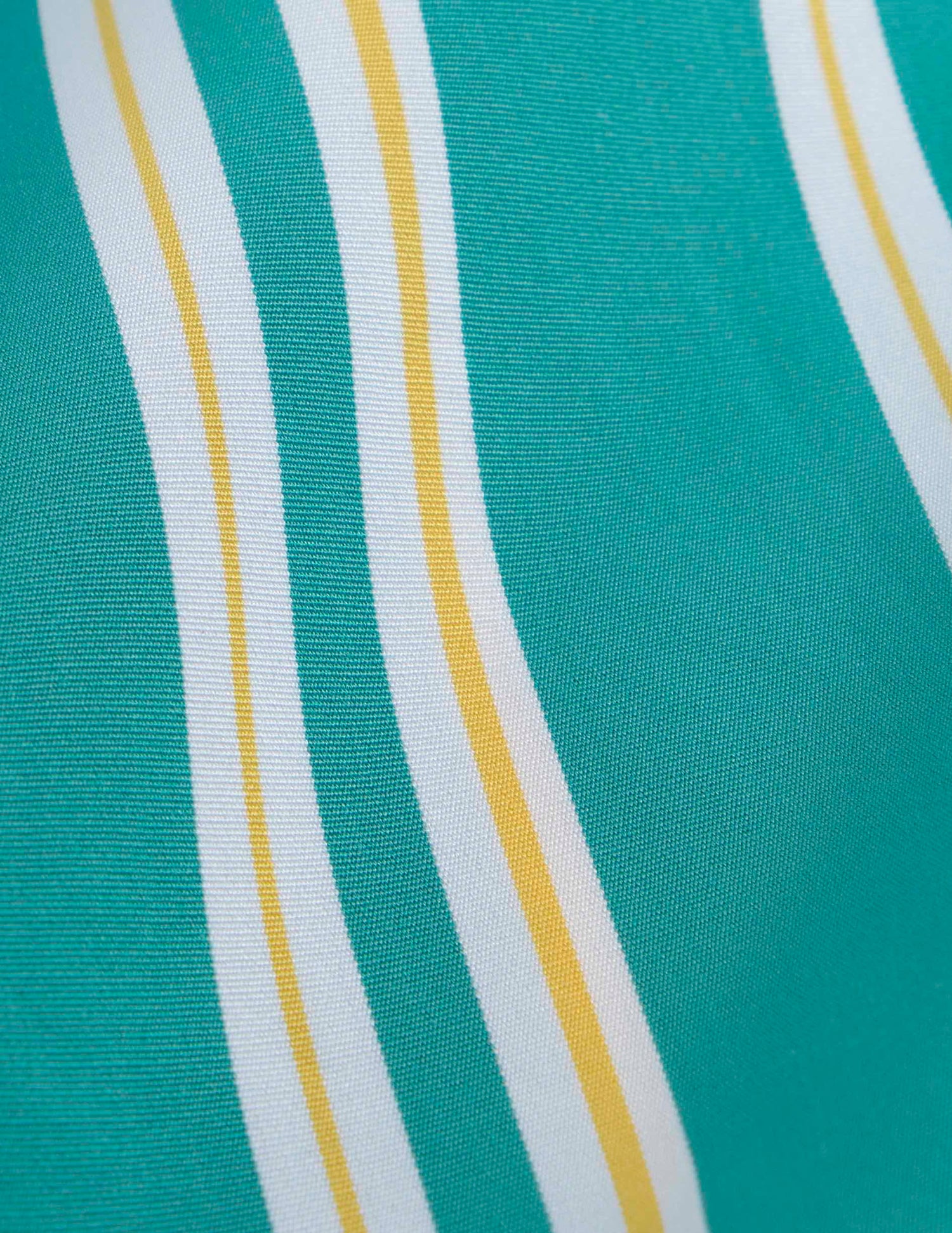 Laeticia striped green poplin pants