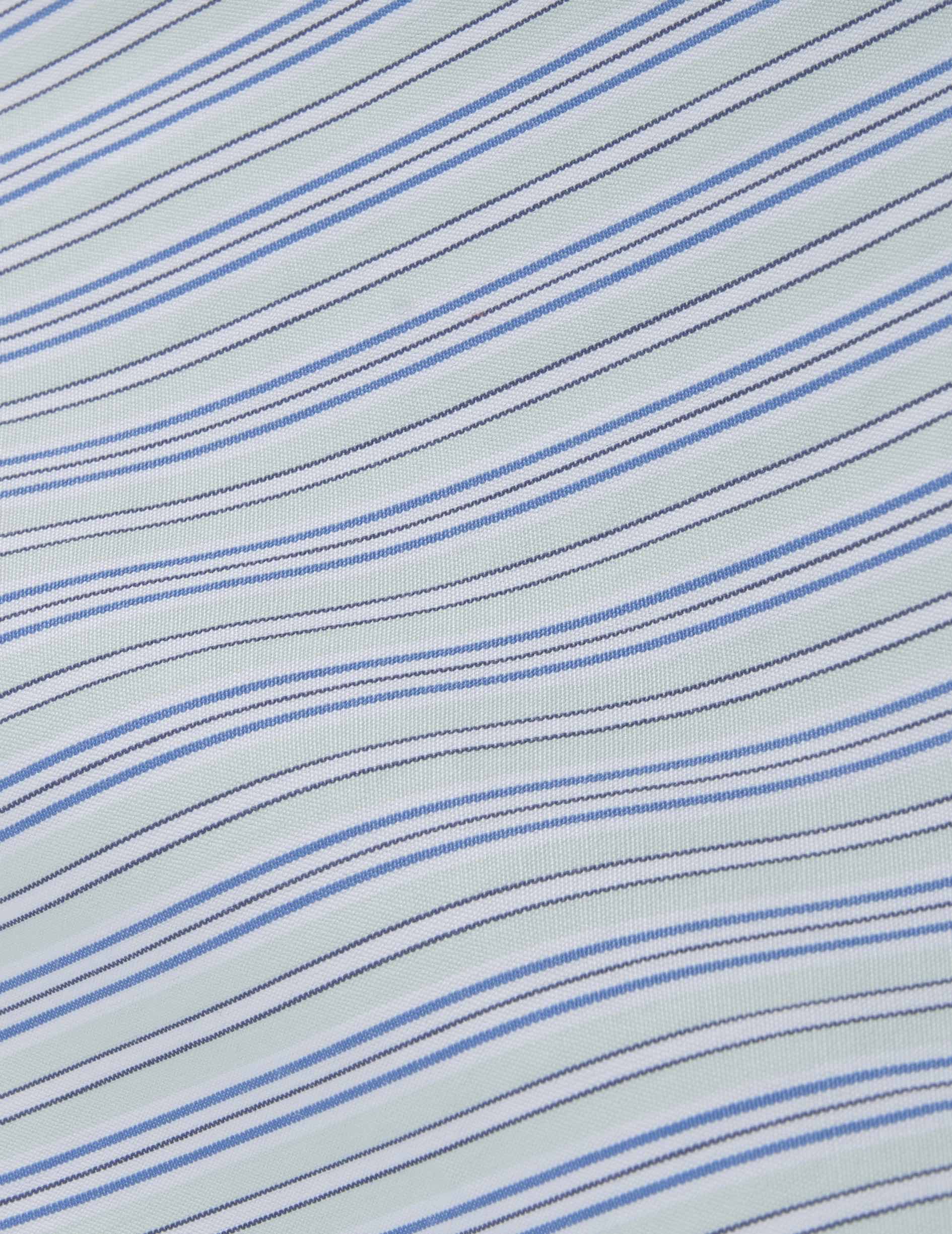 Louison Striped green hidden button placket shirt  - Poplin - Victorian Collar