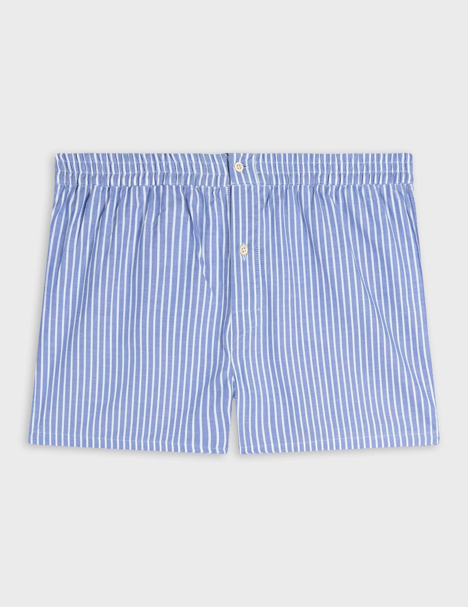 Blue striped Oxford underpants