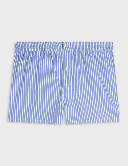 Blue striped Oxford underpants
