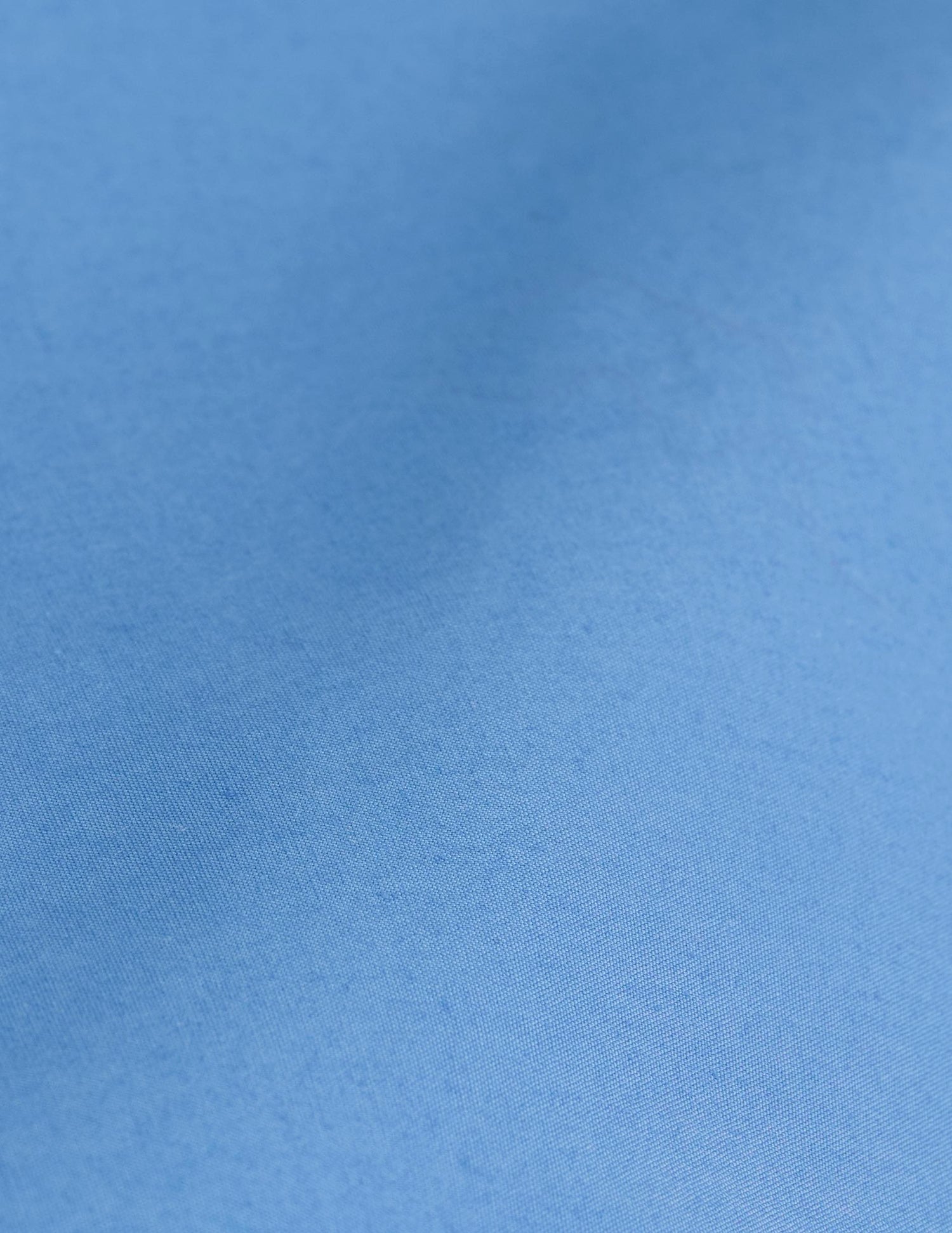Blue Carl shirt - Poplin - Carl Collar#4