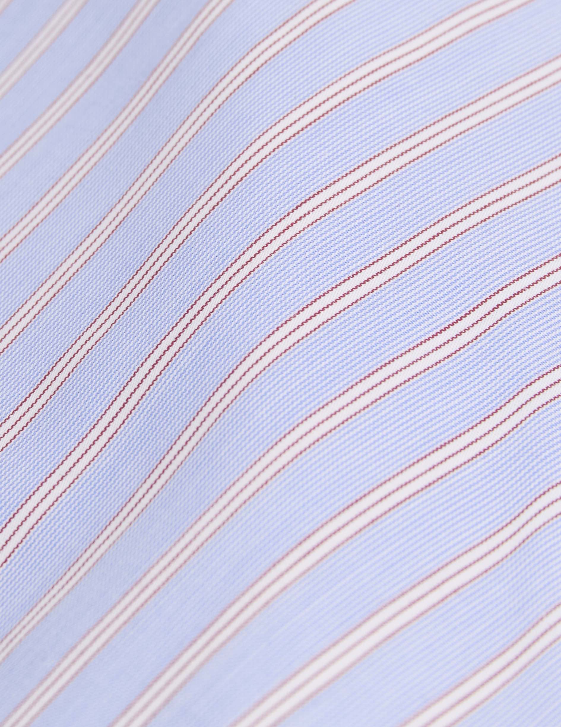 Blue striped Carl shirt - Poplin - Carl Collar