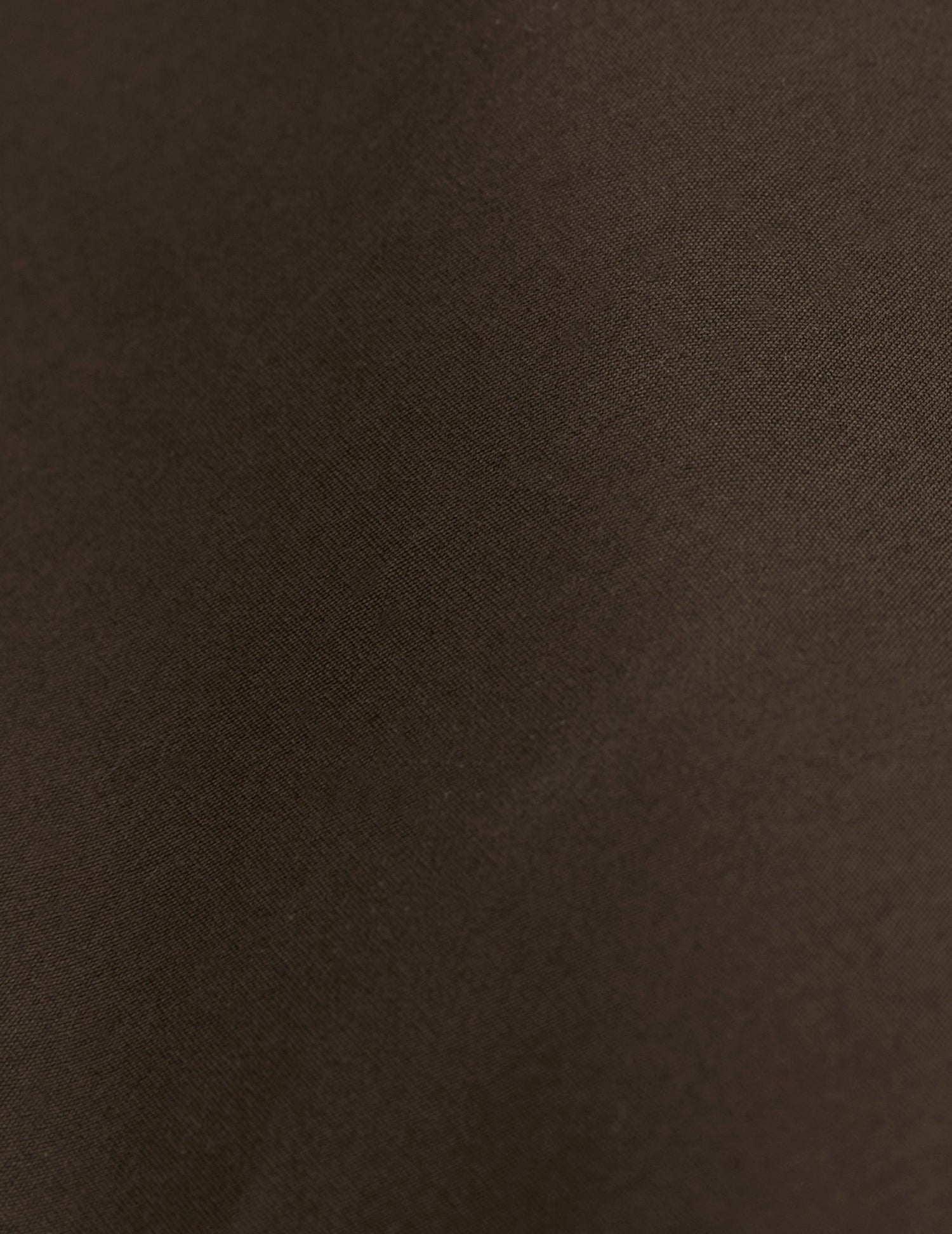 Brown Carl shirt - Poplin - Carl Collar#5