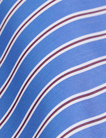 Classic blue striped shirt