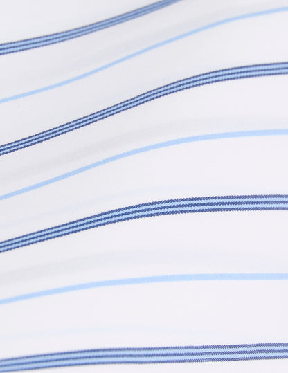 Classic blue striped shirt